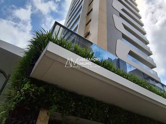 Mirare Collection Meireles
